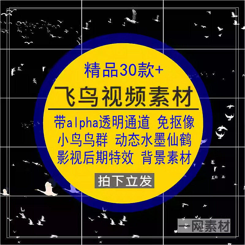 飞鸟带通道水墨小鸟影视抠像动态透明背景特效AE/PR视频素材