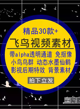 飞鸟带通道水墨小鸟影视抠像动态透明背景特效AE/PR视频素材
