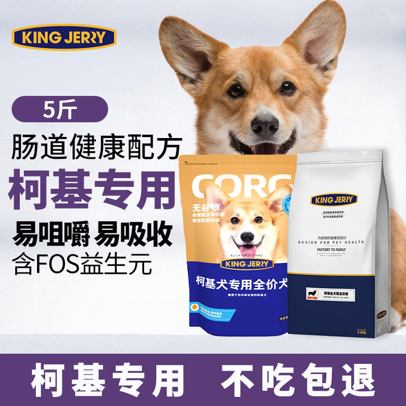 金吉瑞kingjerry柯基犬