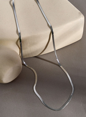 欧美轻奢银色扁蛇骨项链冷淡风气质百搭简约现货