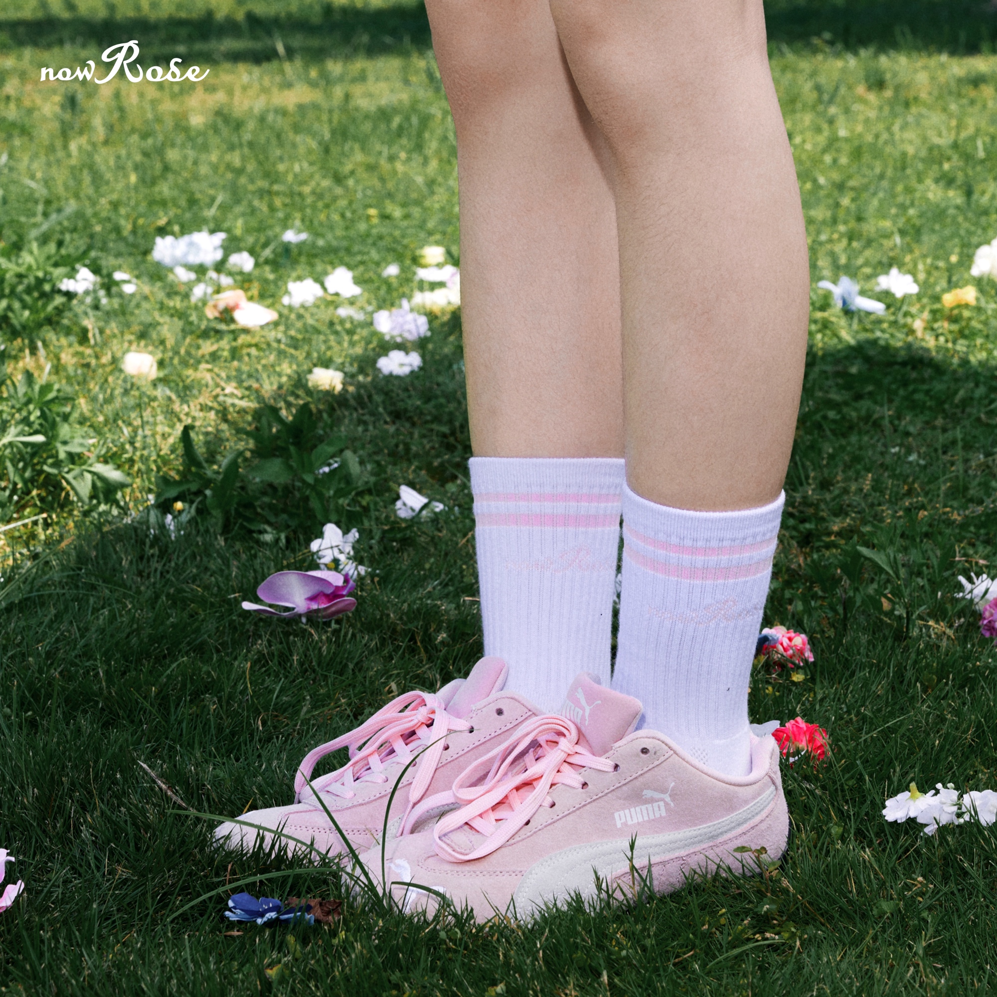 NowRose官方专业运动网球白色中筒袜子女公路骑行袜跑步袜毛巾底