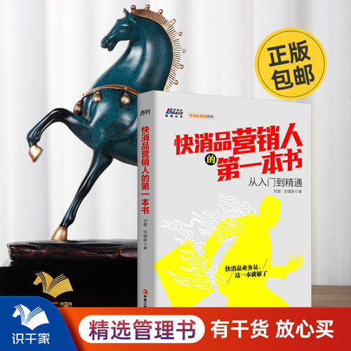 快消品营销人的书从入门到精通 促销策划终端价值发现 销售管理广告营销书