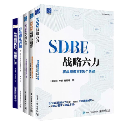 SDBE战略和BLM战略管理5册：SDBE战略六力：将战略做实的6个关键+SDBE战略与洞察+SDBE卓越运营+业务增长战略+从战略到执行