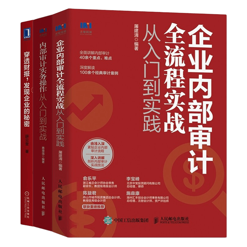 企业内部审计穿透财报审计专业