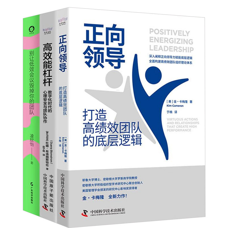 高效团队塑造3本套:正向领导:打造高绩效团队的底层逻辑+高效能杠杆+别让低效会议毁掉你的团队