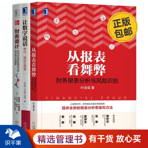 审计业务提升本套报表舞弊数字