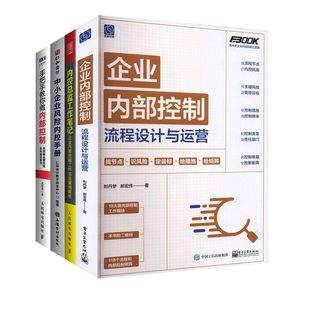 手把手教你做内部控制 中小企业风险内控手册 企业内部控制4本套：企业内部控制流程设计与运营 内控总监工作笔记
