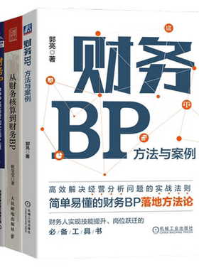 财务BP财务人员3册：财务BP：方法与案例+从财务核算到财务BP 财务人员转型进阶指南+财务BP：500强高管的实践之道