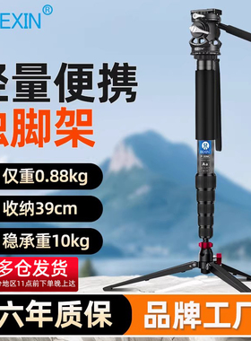 贝欣P306独脚架碳纤维专业摄影摄像机轻量便携单脚户外婚庆录像vlog拍摄相机稳定器支架液压云台三脚架三角架