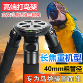 贝欣碳纤维专业拍鸟三脚架无中轴40mm管径ST424C单反相机便携摄像机液压云台阻尼长焦镜头大炮打鸟三脚架支架