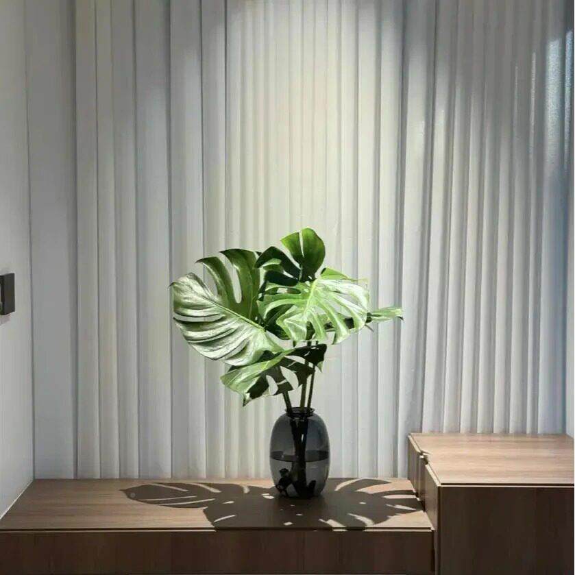 【精品龟竹】海南背背水培龟NCV竹桌面绿植盆栽家居氛净围化空气z