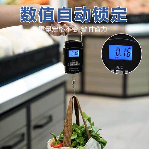 手提电子秤高精度精准电子称手提秤弹簧秤家用便携式小型称重器