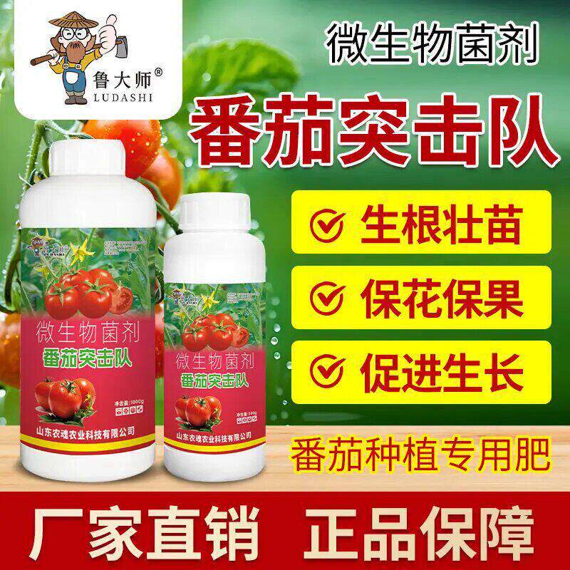 番茄突击队鲁大师大西红柿辣椒黄瓜蔬菜园提质增产营养液肥专用肥