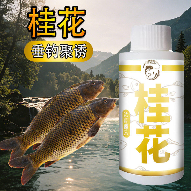 浓缩桂花果香诱钓鱼小药
