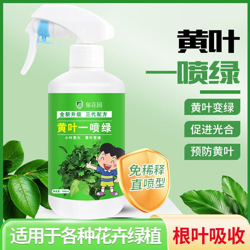 黄叶一喷绿叶面肥预防黄叶促生根免稀释瓜果蔬菜花卉叶绿素营养液