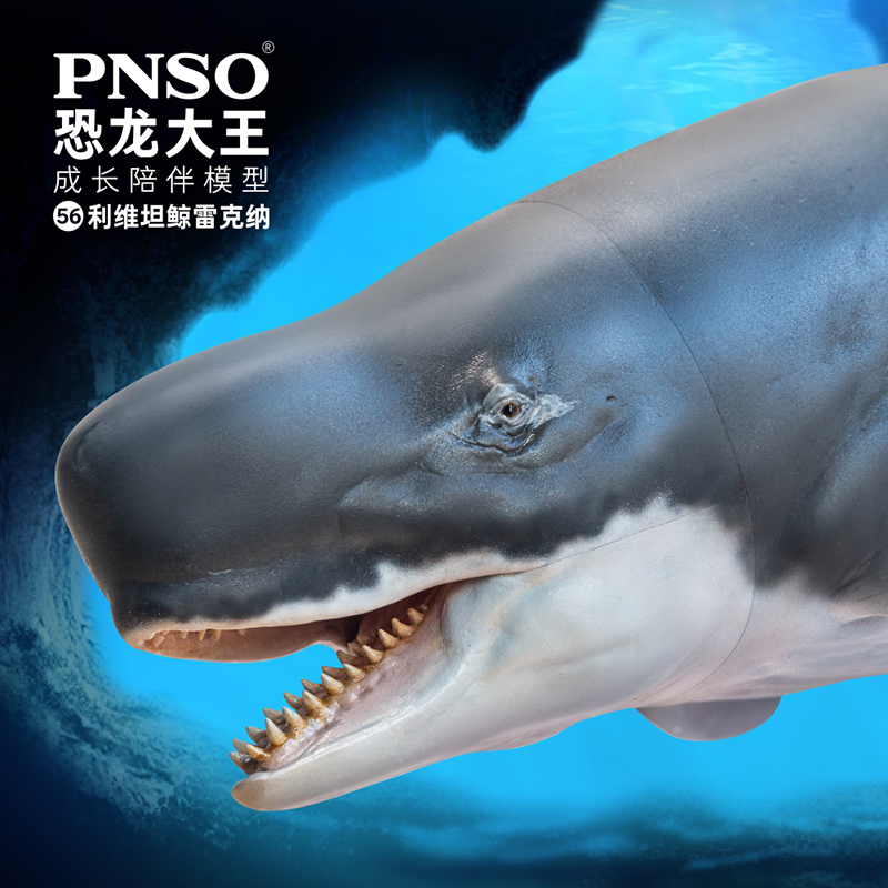 pnso恐龙大王成长模型海洋