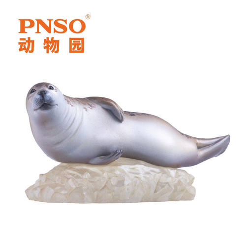 pnso成长模型儿童益智精品手办