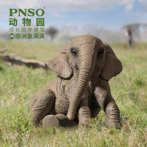 pnso成长模型儿童教育益智精品
