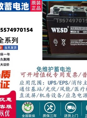 WESD无敌蓄电池12V7AH17AH20AH24AH38AH50AH65AH100AH120AH200AH