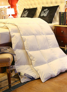 95% White Goose Down Duvet Extra Thick Warm Winter Quilt被子