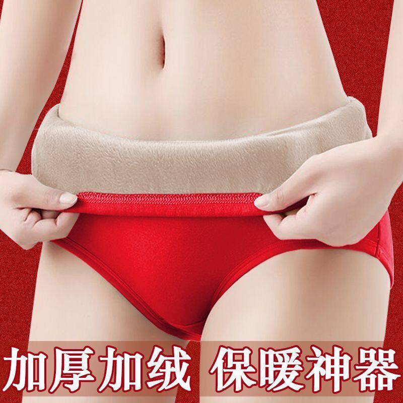 本命年冬季防寒加绒保暖内裤女高腰纯棉加厚大码收腹暖宫三角短裤
