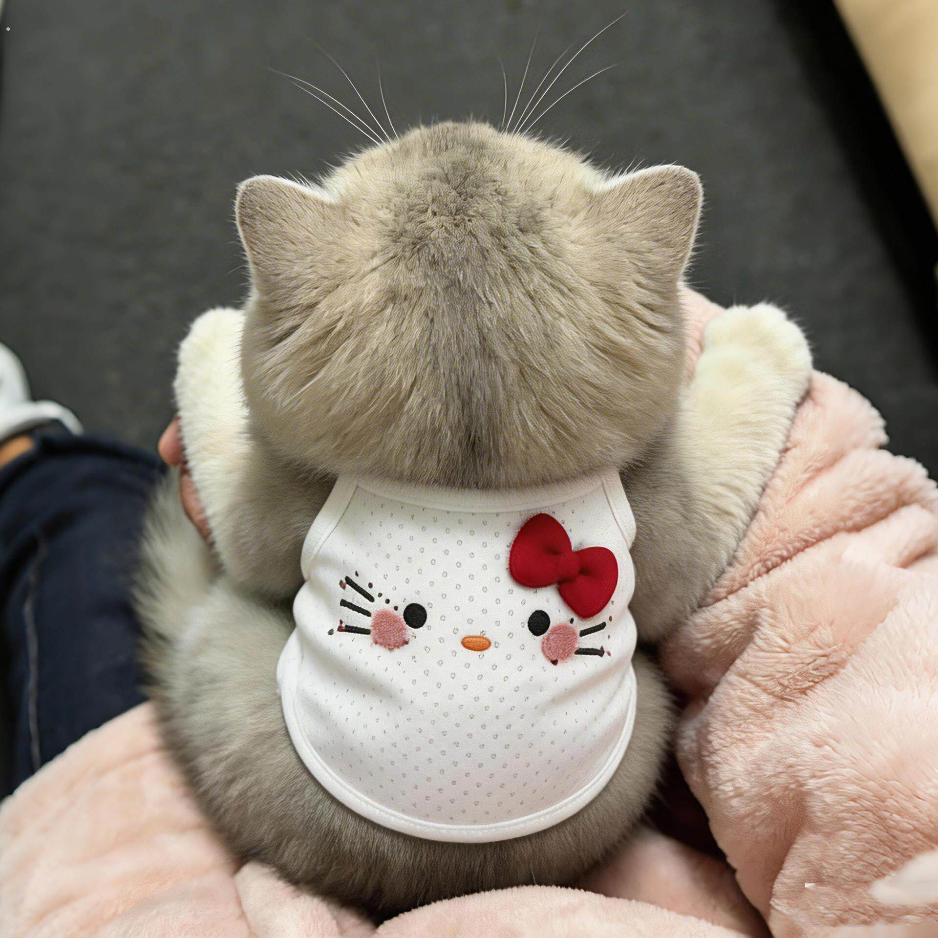 猫咪衣服防掉毛夏季薄款透气网眼蝴蝶结背心无袖吊带狗狗凉凉衣.