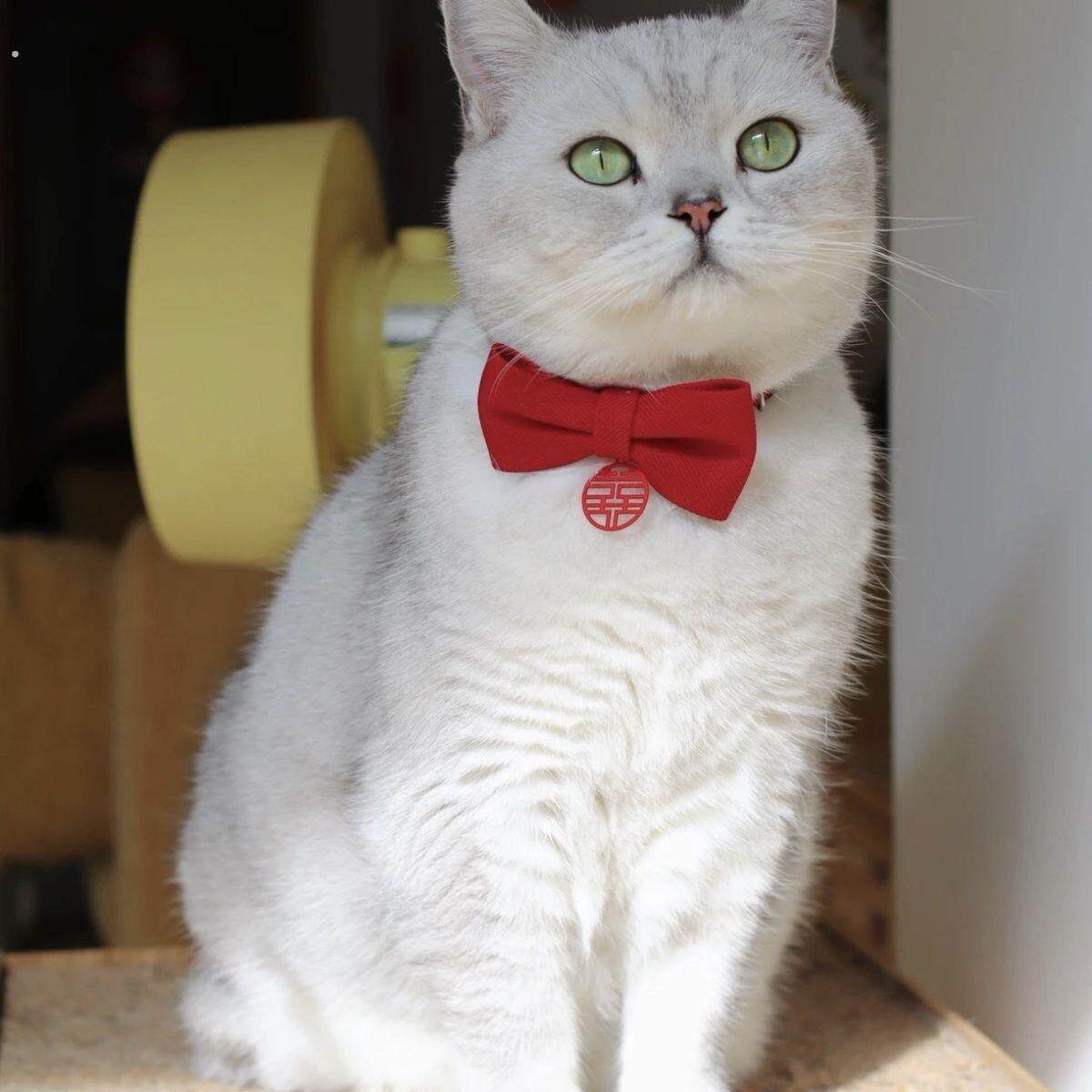 狗狗领结红色喜字衣服小猫咪结婚装饰围脖大狗宠物婚礼蝴蝶结项圈