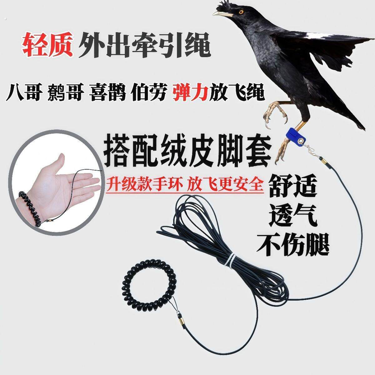 鸟用轻便放飞绳家养八哥鹩哥白颈乌鸦外出牵引遛鸟绳不伤脚绒皮套
