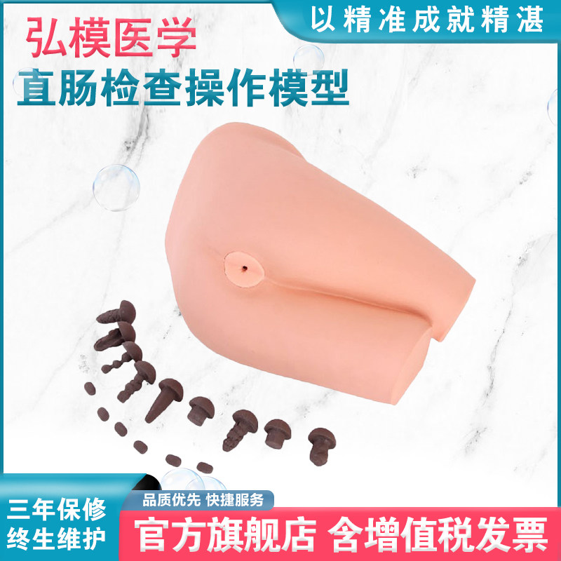 弘模HOM/LV39A直肠检查操作模型粪便评估模型成人臀部模型13种肠道疾病9种类型模拟粪便供识别