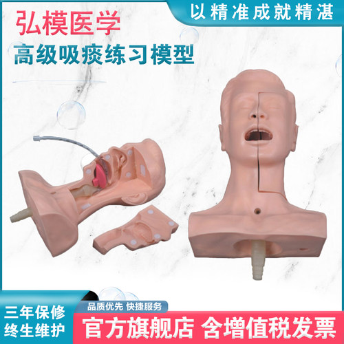 吸痰练习人体模型弘模护理气管