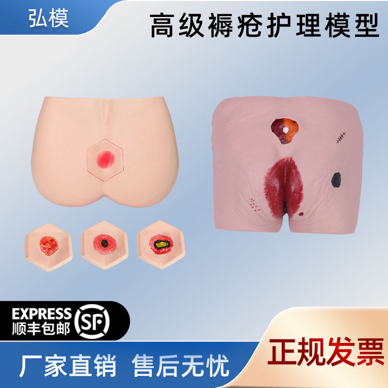 弘模HOM/10B阶段褥疮护理模型养老护理教学模型四个不同阶段褥疮护理训练模型压疮护理训练模具模拟人