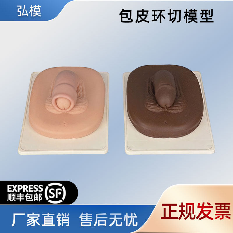 弘模医学教学外科实习生包皮手术练习包皮环切模型仿真包皮模型教学模型手术模型生物切片医学模型,文具电教/文化用品/商务用品,教学标本/模型,淘宝优惠券,粉丝福利购,淘宝优惠卷