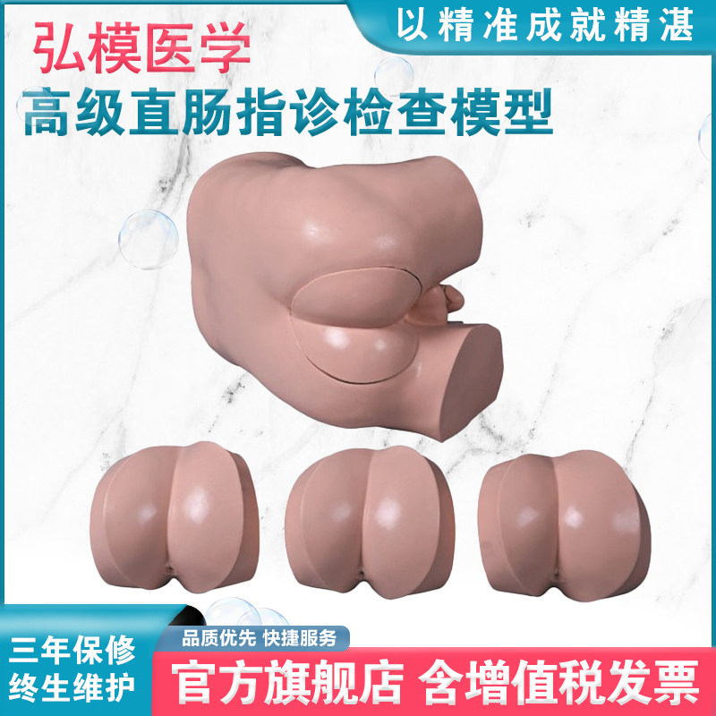 弘模HOM/LV39高级直肠指诊检查模型 前/列腺触诊模型 肛门检查诊断诊治模型