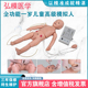 T332全功能一岁儿童高级模拟人儿童心肺复苏模拟人与护理综合一体模型 弘模HOM