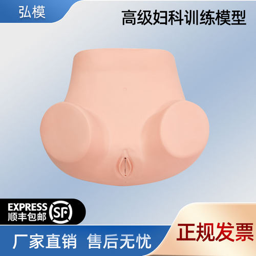 妇科常规检查教学模型弘模双合诊