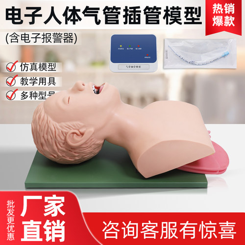 弘模高级电子人体气管训练
