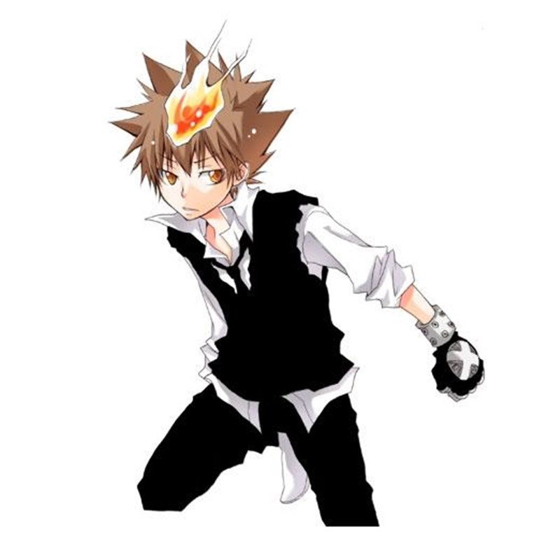 家庭教师/家教/27/废材纲/泽b田纲吉/boss/(校服背心)