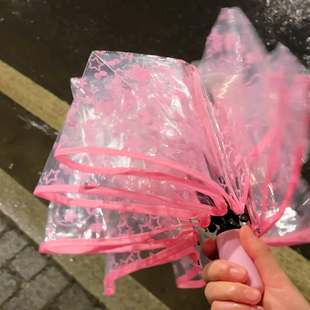 满天星可爱小猫雨伞女透明全自动学生上学专用便携小巧折叠伞