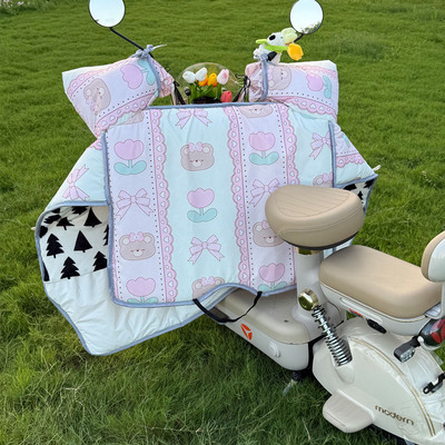 【被问了一路的小熊挡风被！】