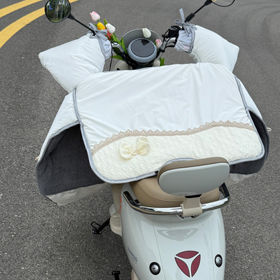 【行走的小火炉！蝴蝶结挡风被】