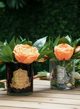 法国COTE NOIRE林地玫瑰无火香氛花持久留香净化空气生日礼物摆件