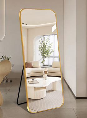 轻奢落地全身镜铝合金框家用带支架穿衣镜衣帽间服装店大试衣镜子