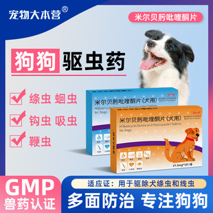 宠物大本营狗狗驱虫药体内一体同驱温和吡喹酮宠物犬打虫药内驱