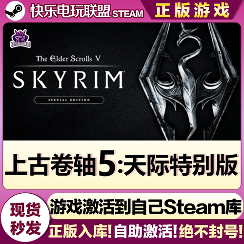 Steam上古卷轴5天际特别版游戏