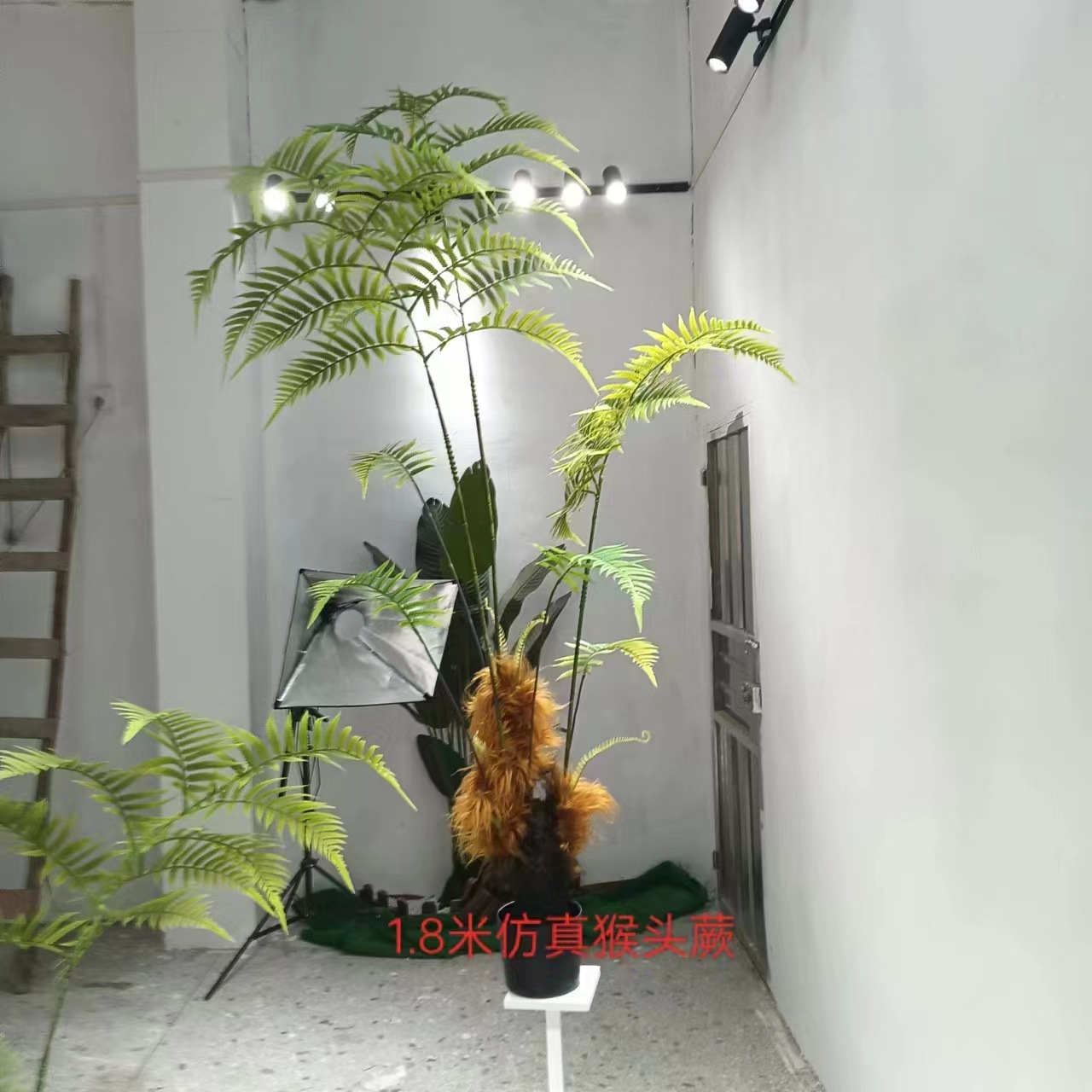 仿真猴头蕨 金丝蕨假绿植盆栽蕨类室内禅意仿真植物造景装饰摆件