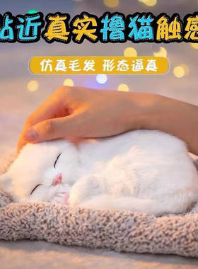 玩具猫猫仿真会叫抱抱布娃娃可爱