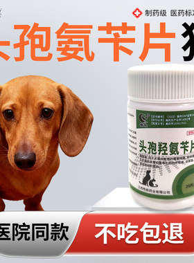 头孢氨苄片狗头孢羟氨苄片猫宠物兽用消炎药感冒咳嗽外伤呼吸感染