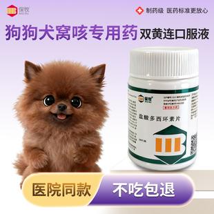 狗狗犬窝咳专用药双黄连口服液盐酸多西环素片猫鸡兽用感冒咳嗽药