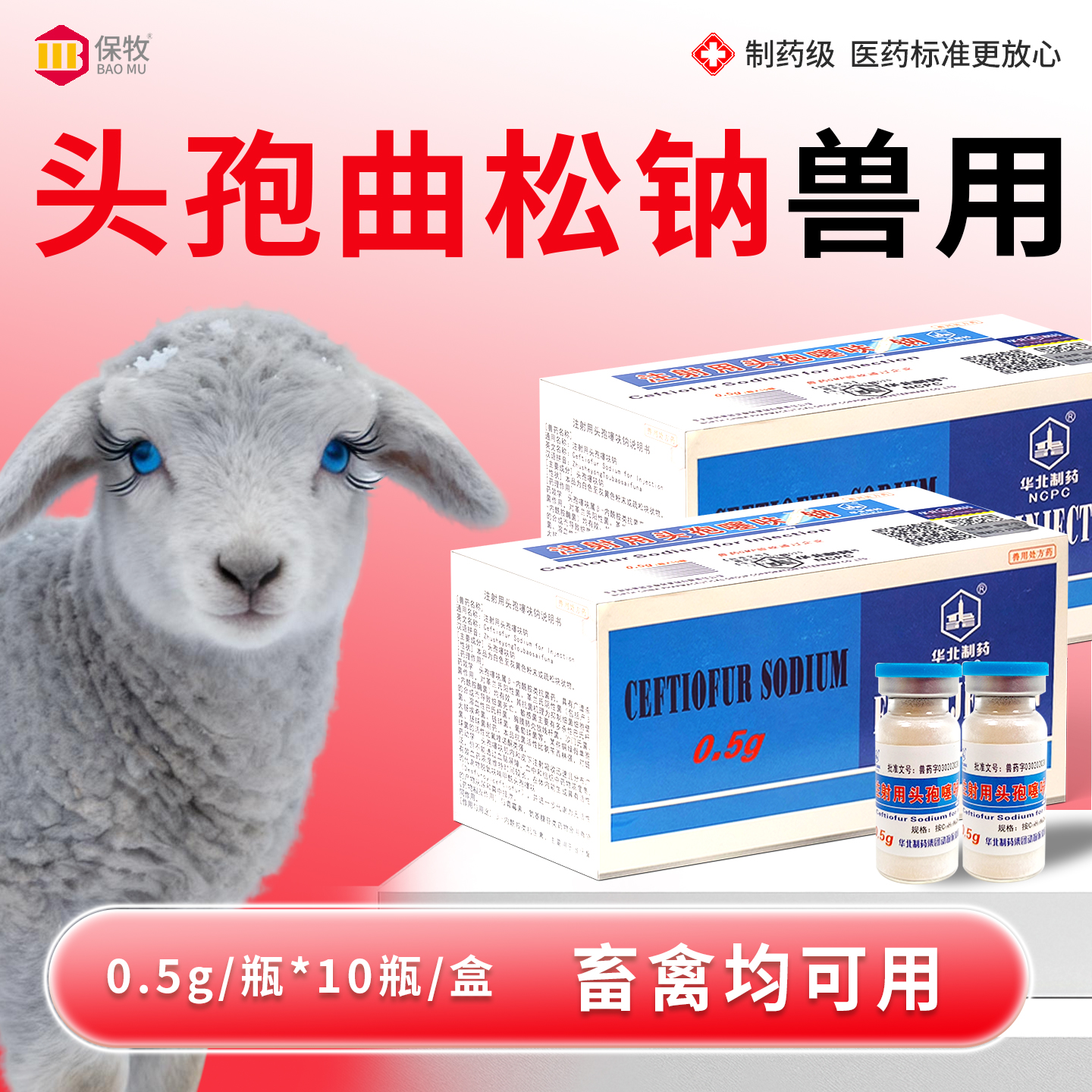 头孢曲松纳兽用注射头孢噻呋钠针剂猪牛羊呼吸道感染产后消炎兽药