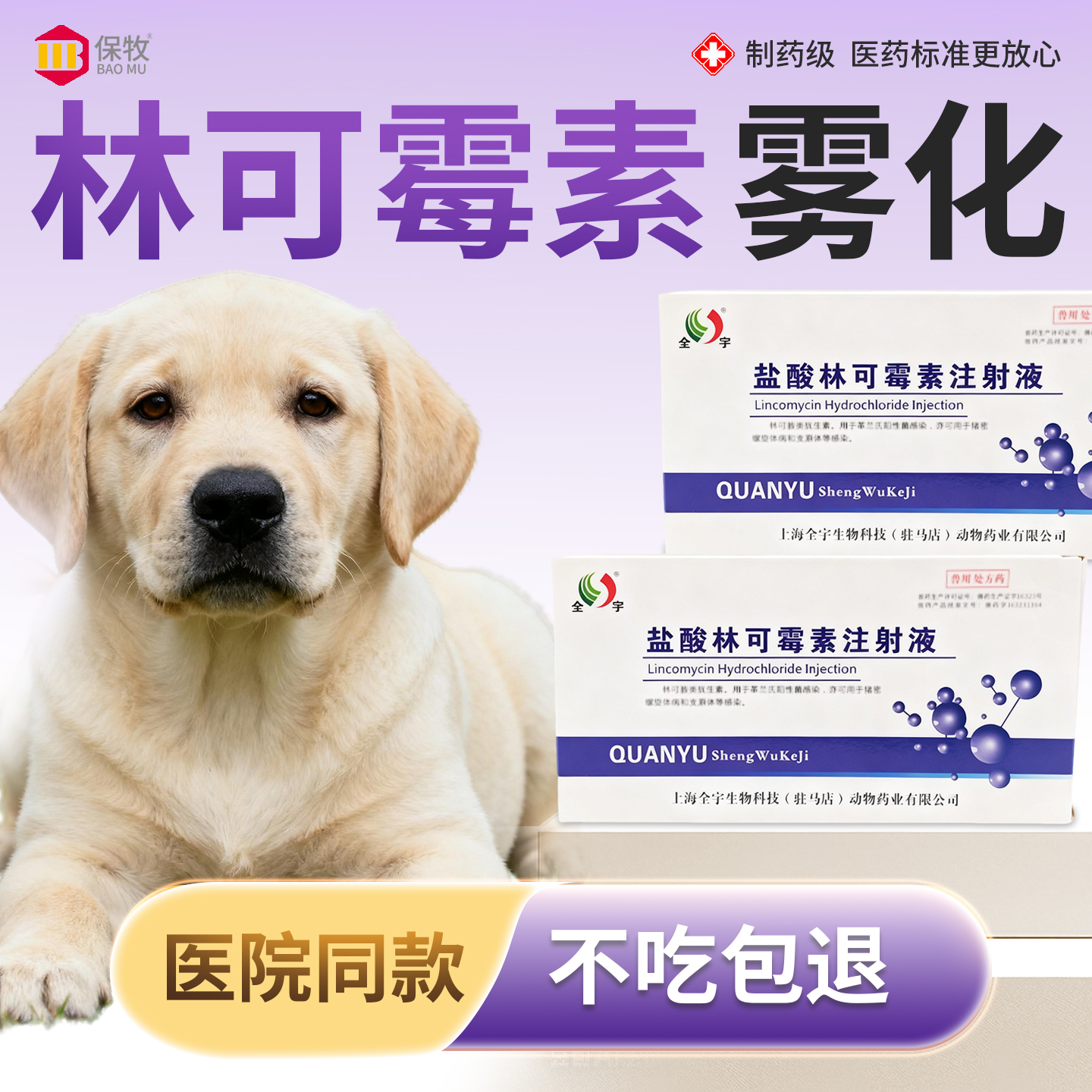 保牧【林可霉素注射剂】尿路感染